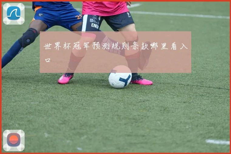 世界杯冠军预测规则条款哪里看入口