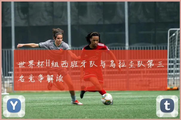 世界杯H组西班牙队与乌拉圭队第三名竞争解读