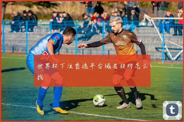 世界杯下注首选平台域名核对怎么找