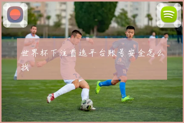 世界杯下注首选平台账号安全怎么找