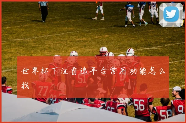 世界杯下注首选平台常用功能怎么找