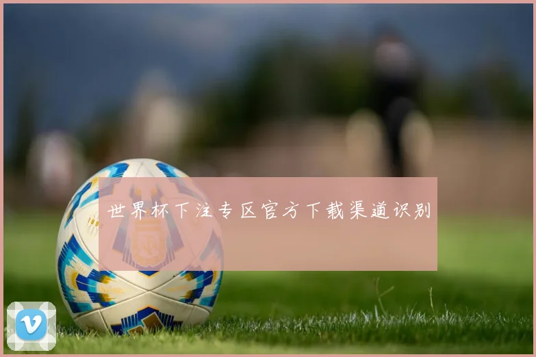 世界杯下注专区官方下载渠道识别